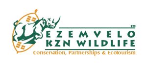 Logo-1